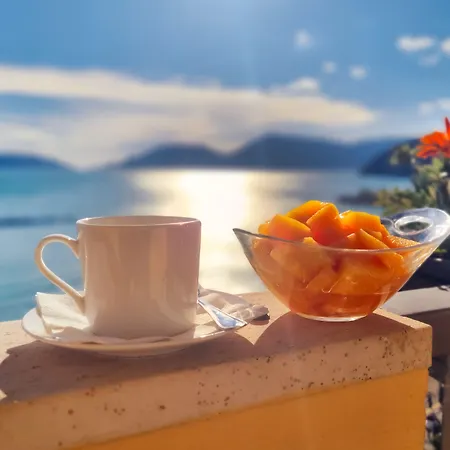 佛罗里达莱里奇酒店