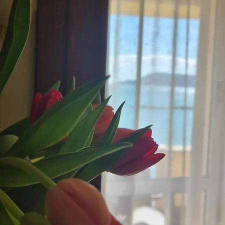 מלון Florida