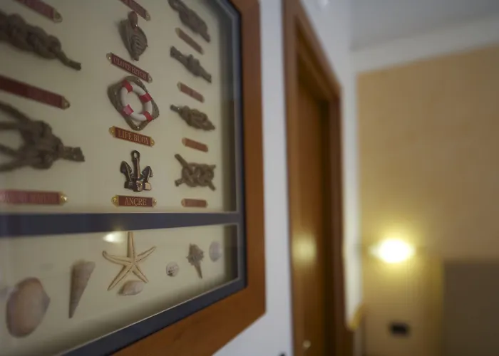 Florida 3* 레리치